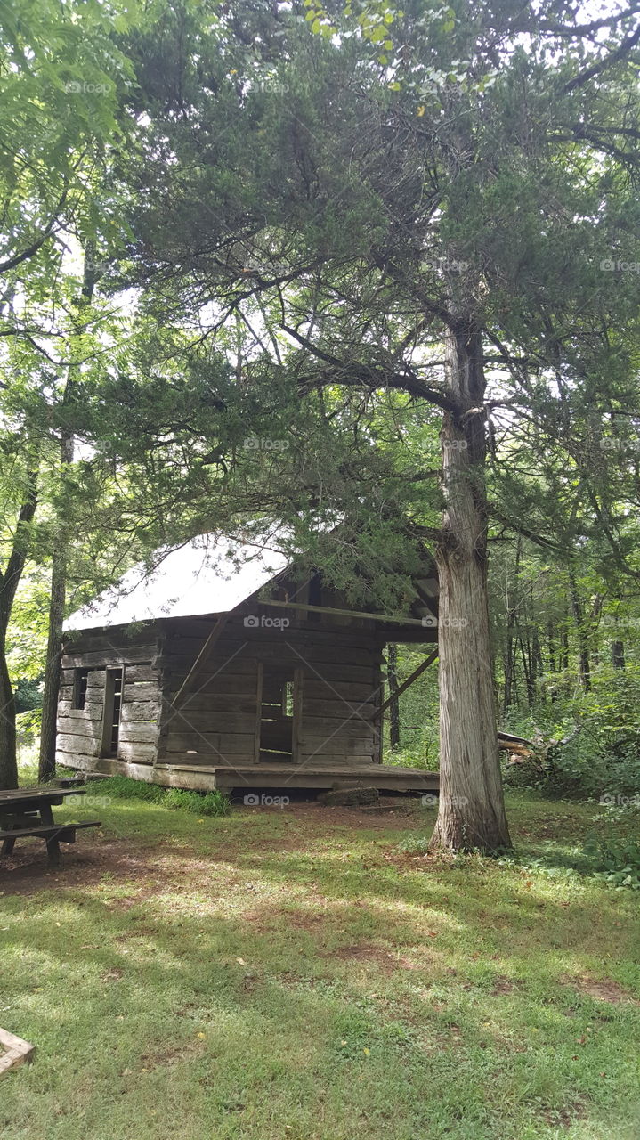 Old homestead cabin built 1855