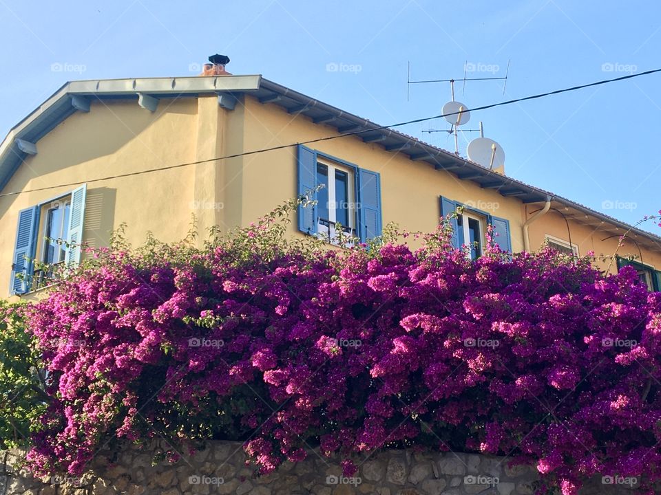 Sunny house with bougainvillea 