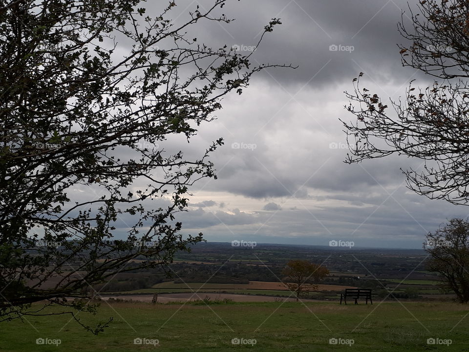 Tree, Landscape, No Person, Sky, Nature