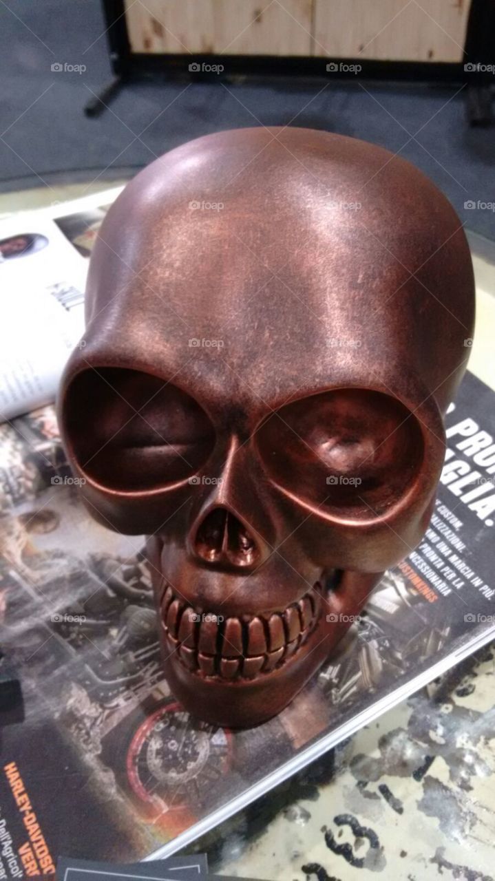 Skull head