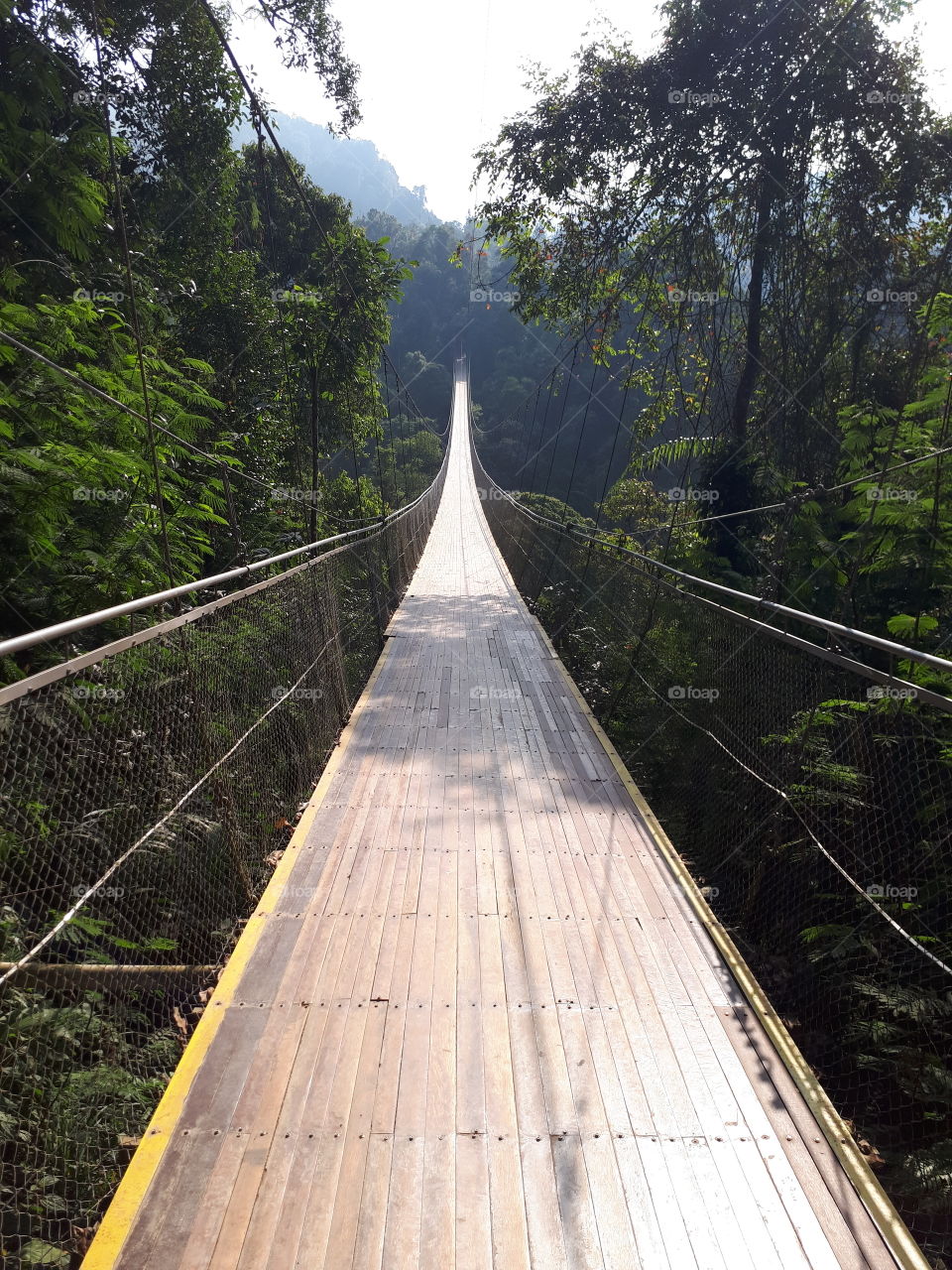 suspention bridge