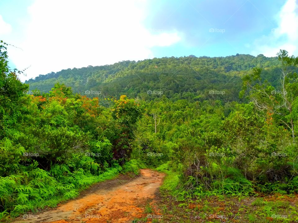 Path heading to the hill