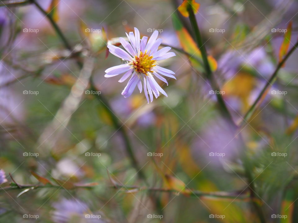 we need too stand out from the crowd too be seen