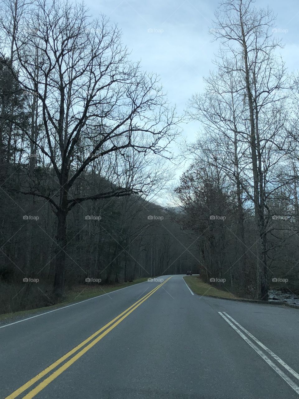 Winter Mountain Road 