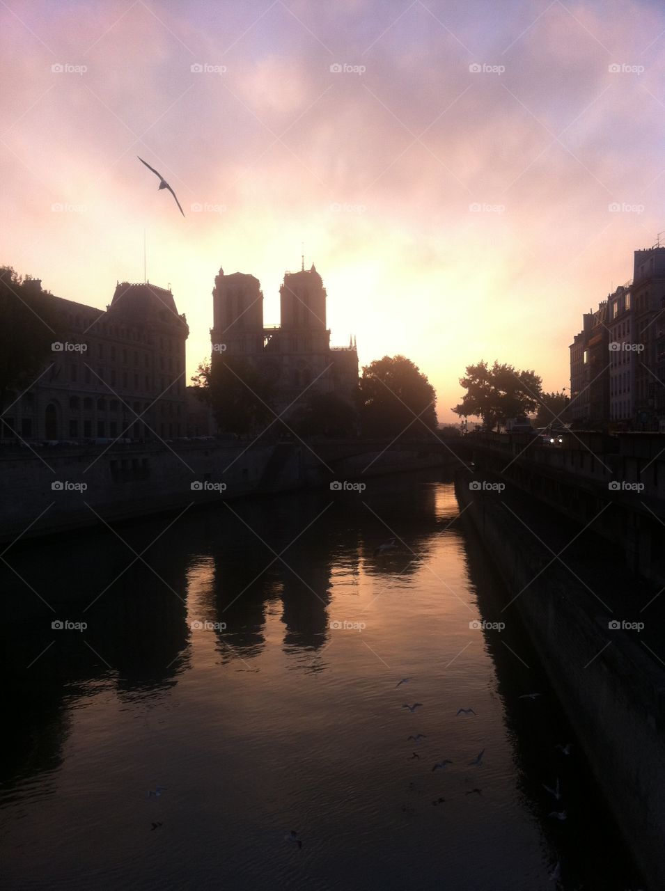 River, Reflection, City, Sunset, Water