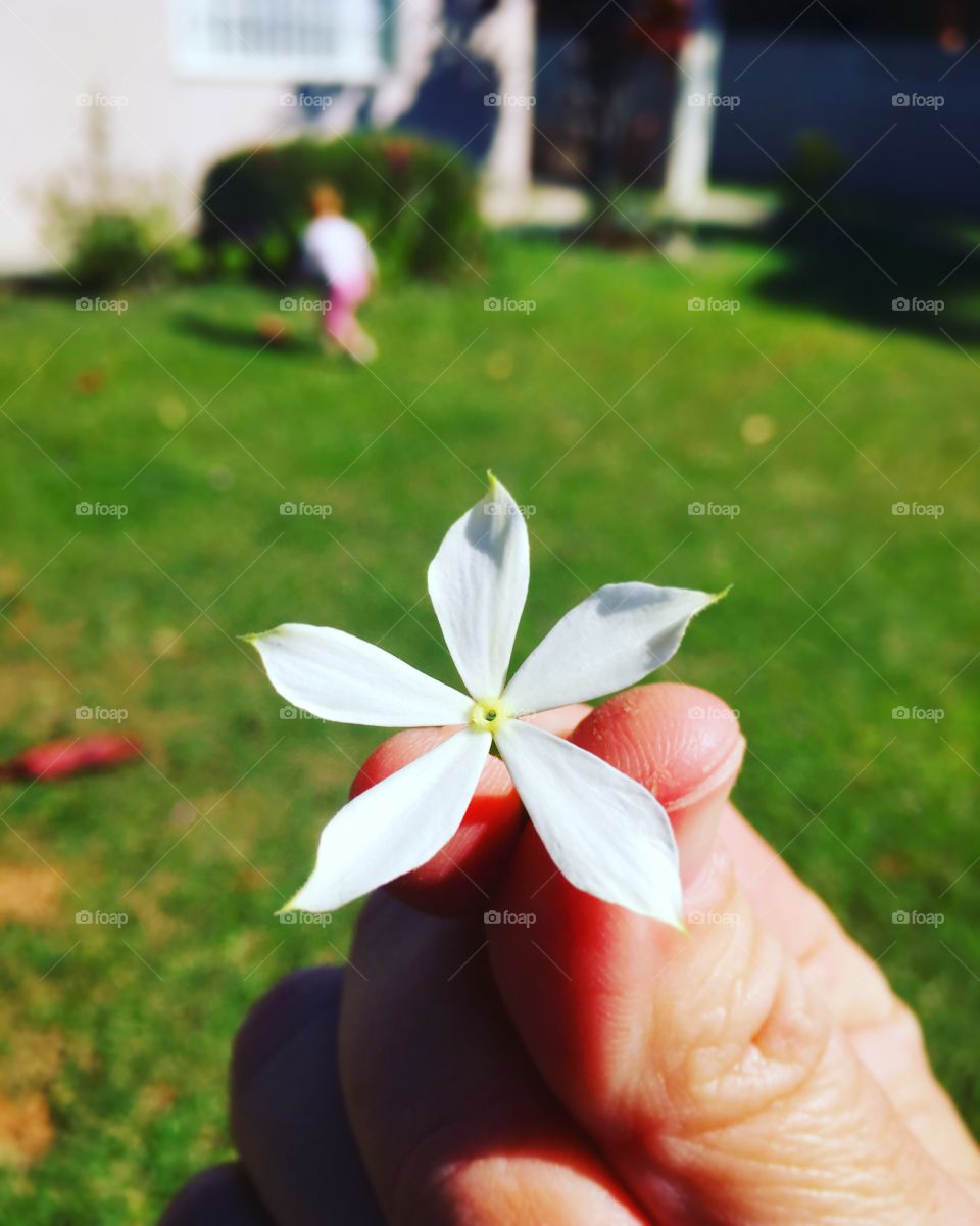 E minha pequeninha trouxe uma florzinha e saiu correndo! Como pode ser tão doce?
“Pra você, Papai El”.
💕❤️💐🌸
#PaiDeMeninas #Família #Paz #Amor #Natureza #flores #jardim