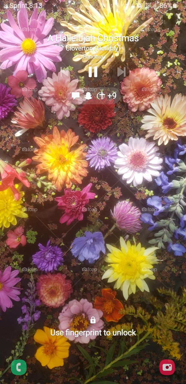 fall flower combination