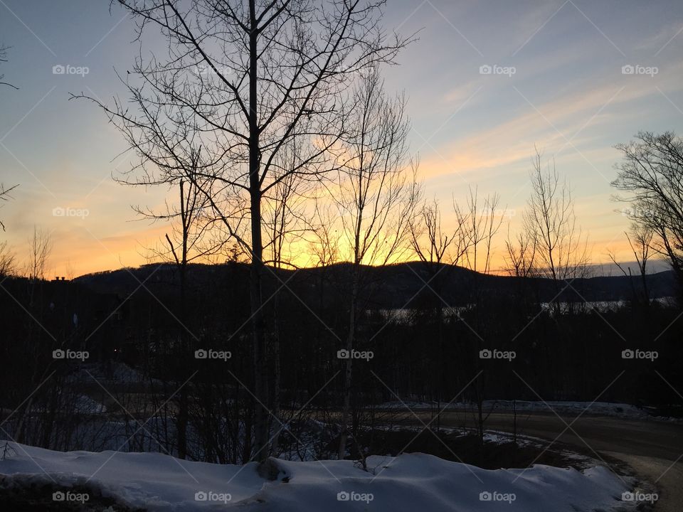 Skinny trees and sunset in Mont Tremblant