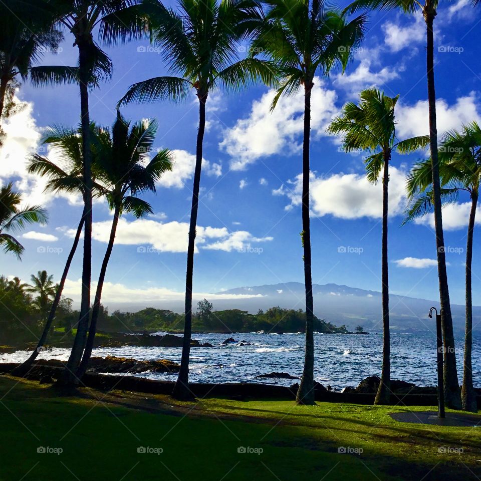 Beach park in Hilo with volcano in distance