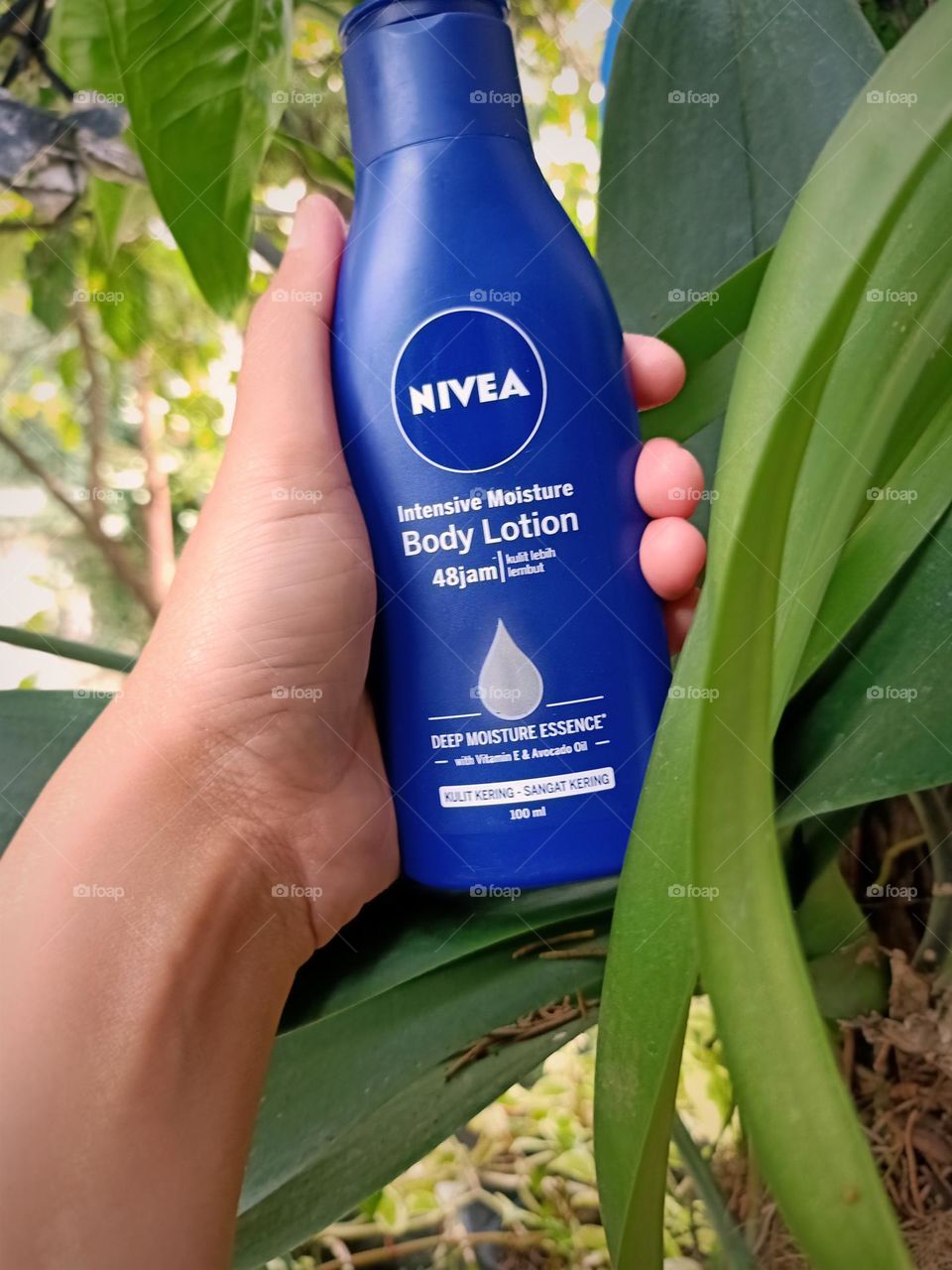 nivea body lotion