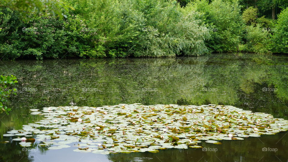 Lake in the country in Belgium.