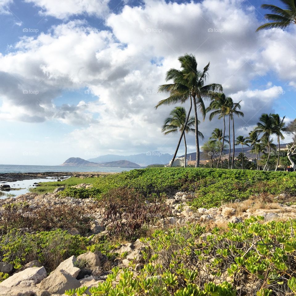 Life is good in KoOlina