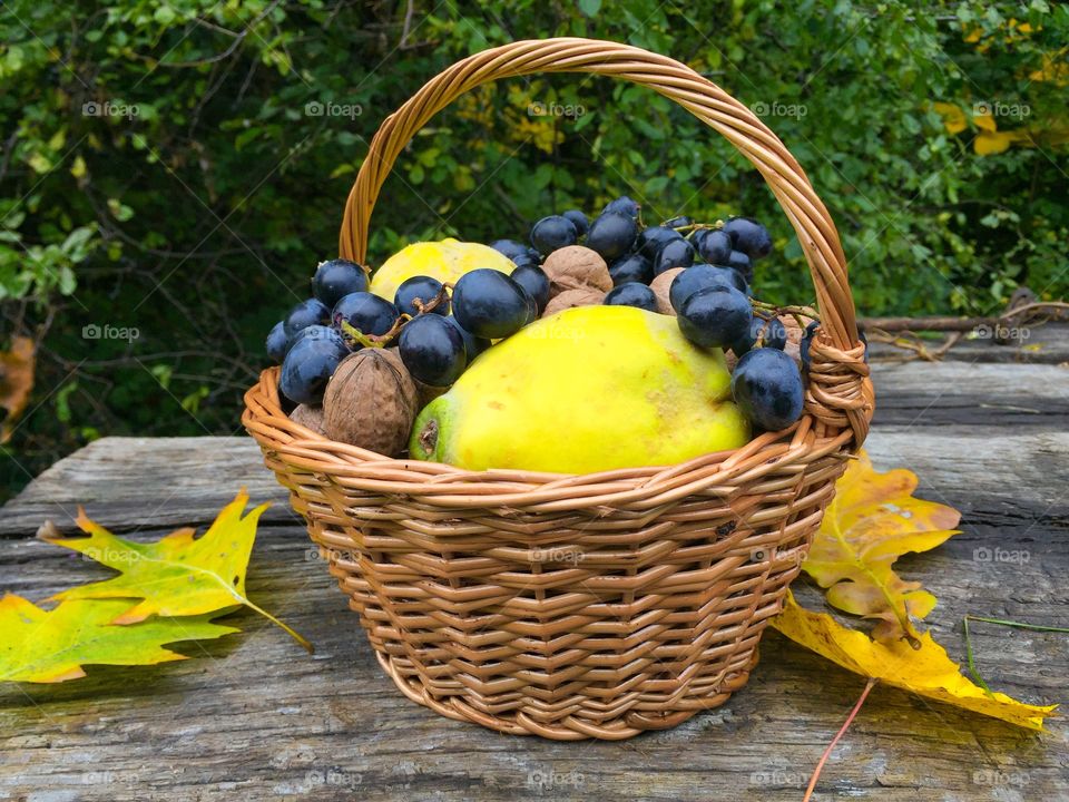 Hamper basket with grapes,quinces and nuts on wooden table