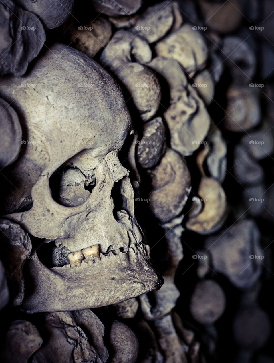 A human skull eerily peers out of a pile of bones