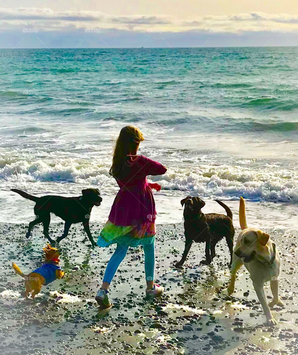 Girl with her best friends - three labs and a chihuahua 
