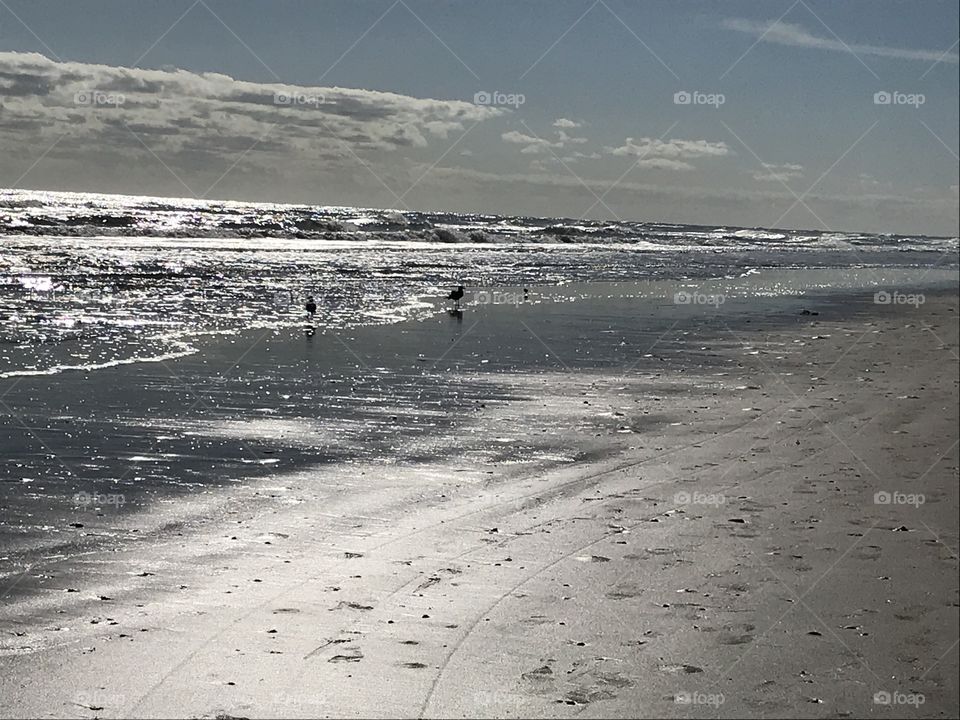 South Padre Island Beach