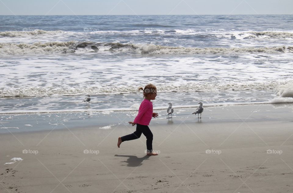 Child chasing after seagulls