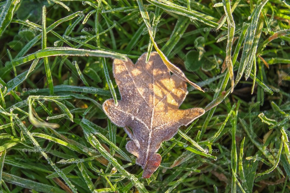 The transition between fall and winter