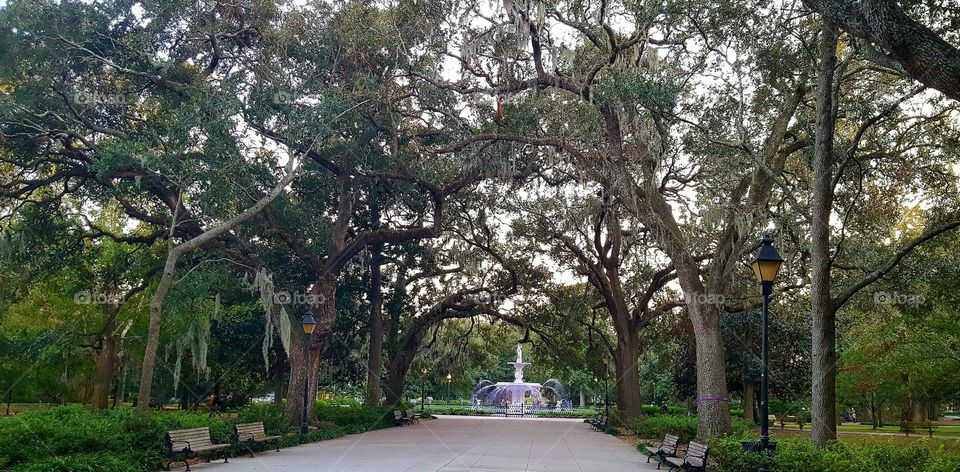 Forsyth Park Savannah GA