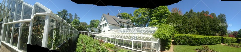 Greenhouse 