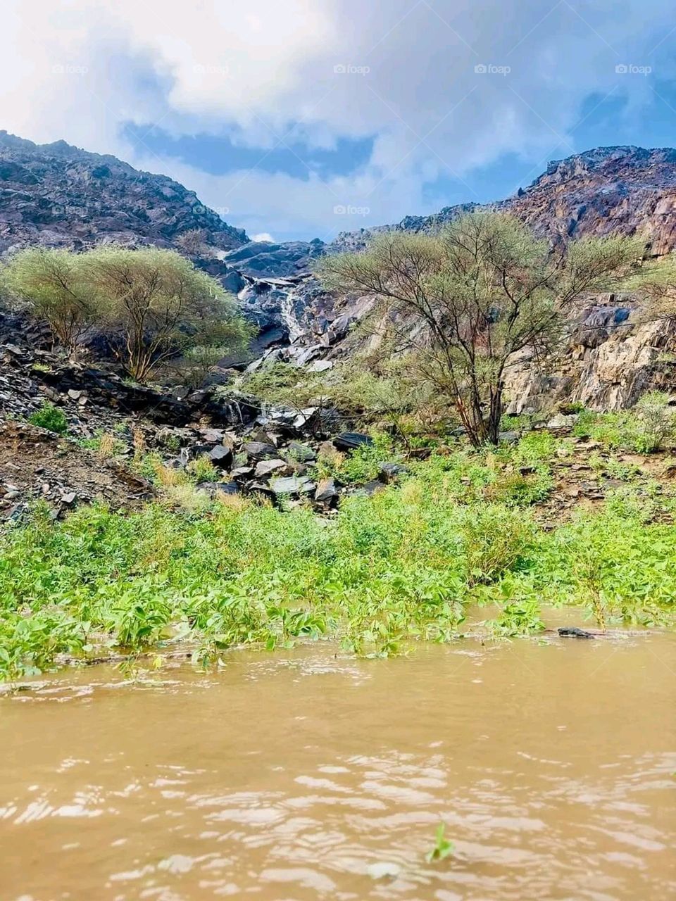 Glory be to God, the magnificent and picturesque view and the natural green trees are a view that is nothing more wonderful than it