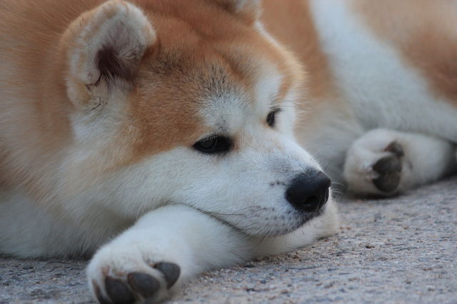 let me relax