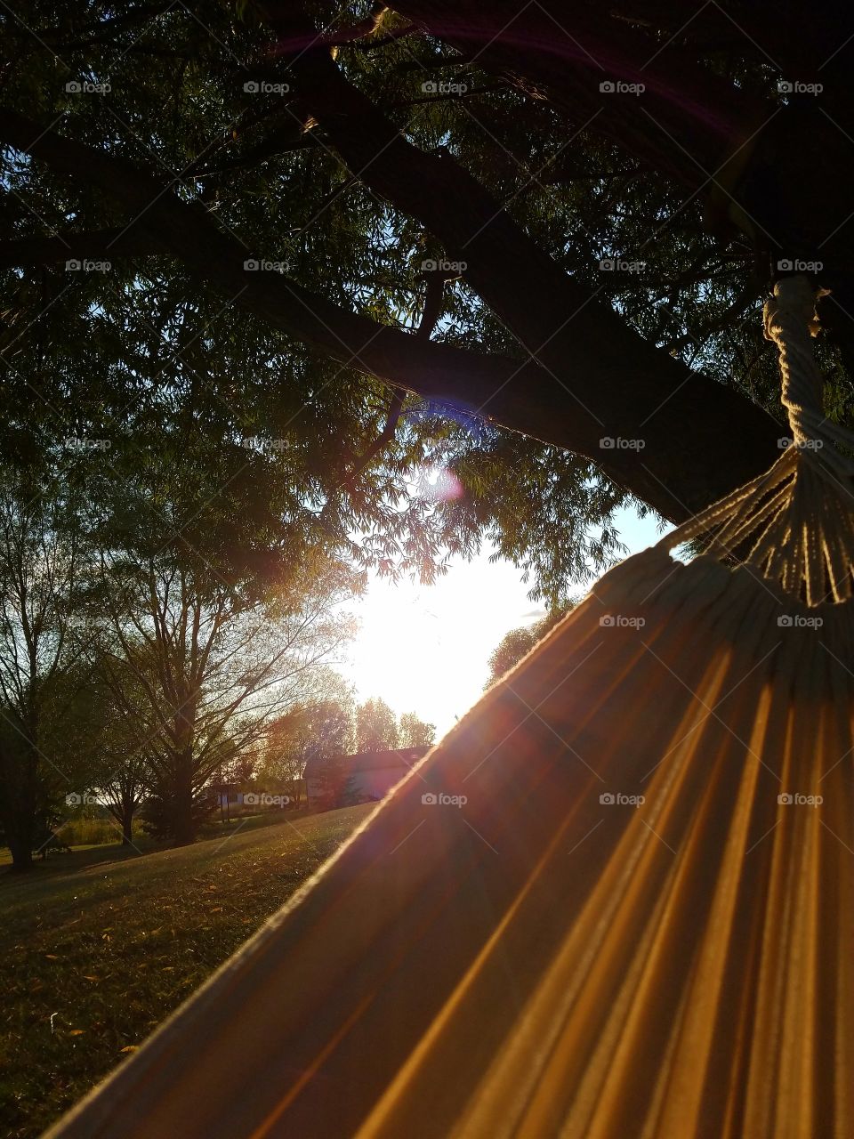 sunset in hammock