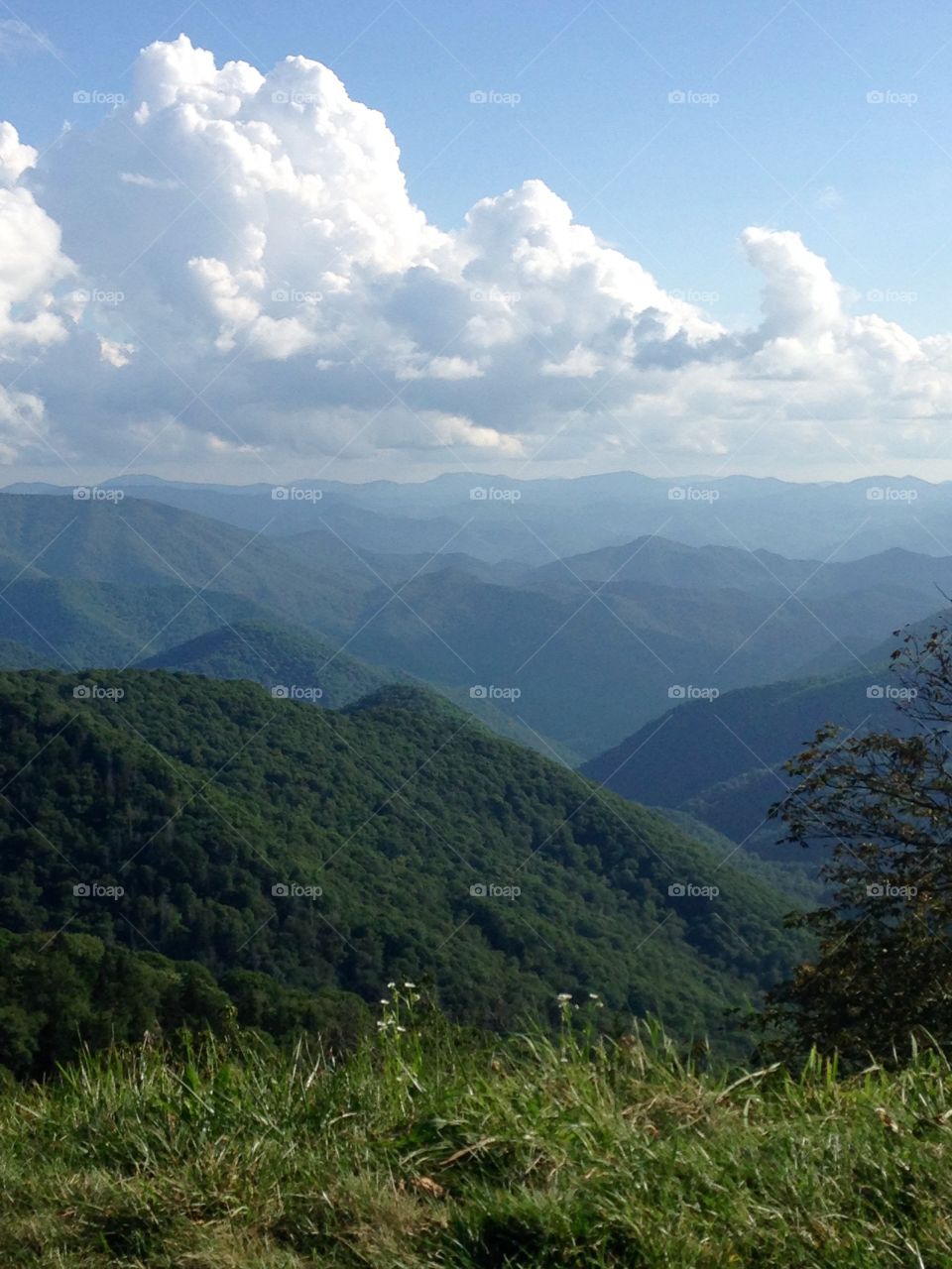 Blue Ridge Parkway NC