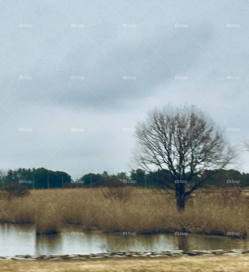 calm countryside in the winter