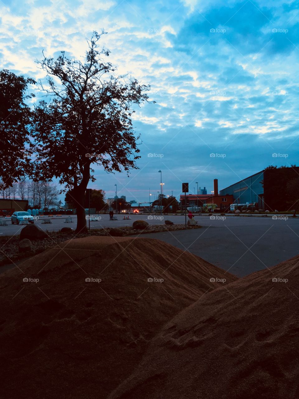 No Person, Landscape, Beach, Tree, Water