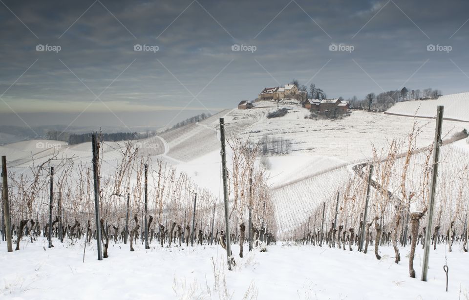 Snow, Winter, Cold, Frost, Frozen