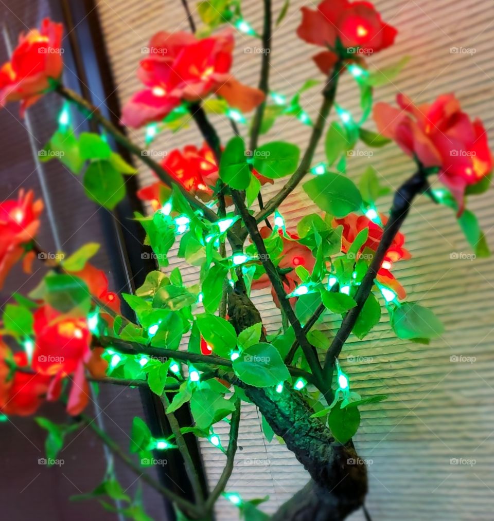 “Be not afraid of life. Believe that life is worth living, and your belief will help create the fact.”