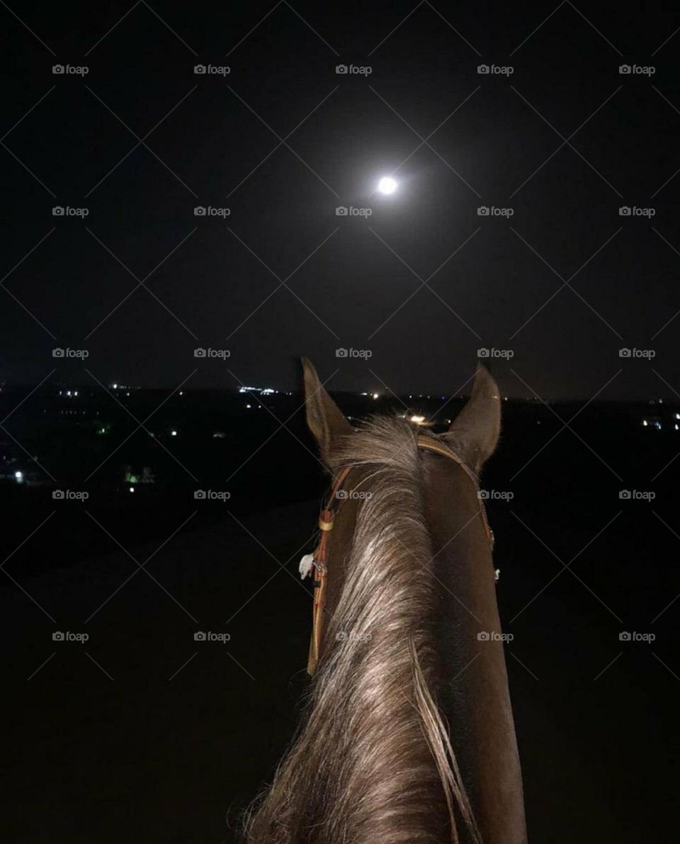 ^^^
If your affection is true, then everything is easy

              And all that is above the dust is dust