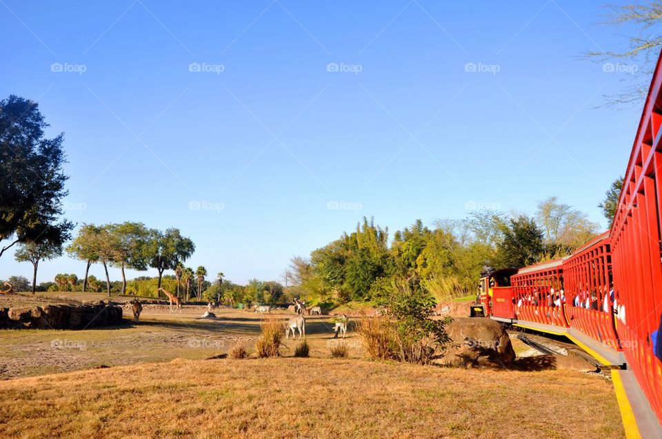 Train tour at zoo