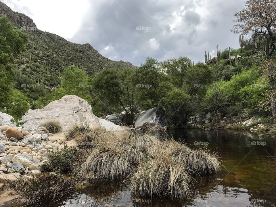 Nature Mountain Landscape - Sabino Canyon in Tucson, Arizona 