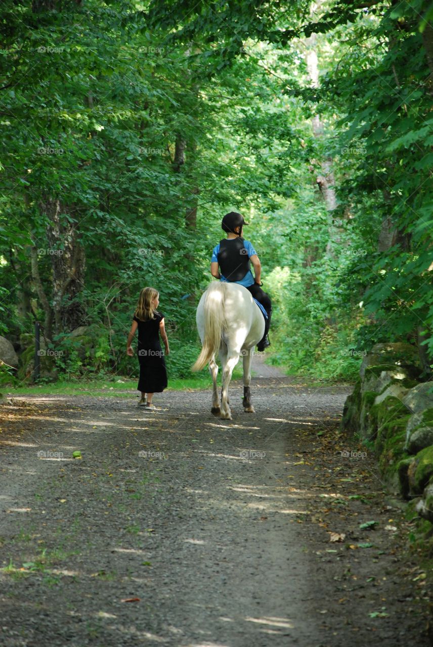 Riding in the Woods 