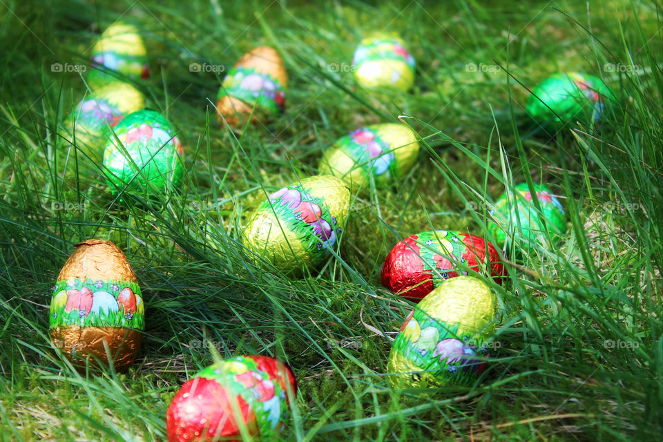 Easter, Egg, Nest, Celebration, Decoration