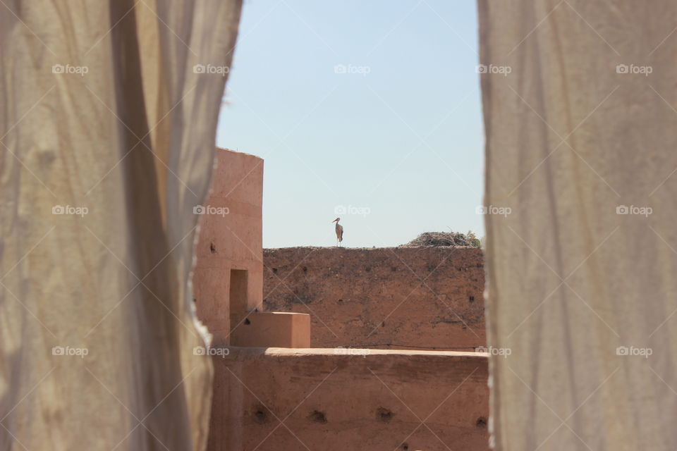 Daily life in Marrakech.