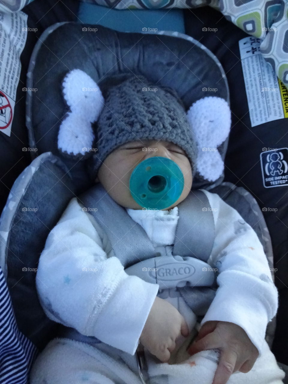 baby elephant hat