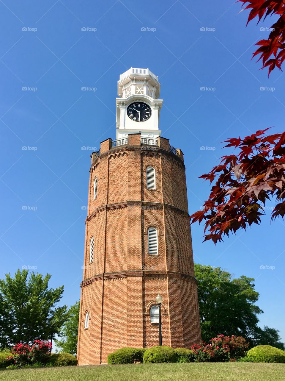 The lovely Rome, Georgia, City Clock Tower a/k/a Big Ben. Beautiful Chimes on the hour and half- used to be key wound once a week when my Mom grew up 