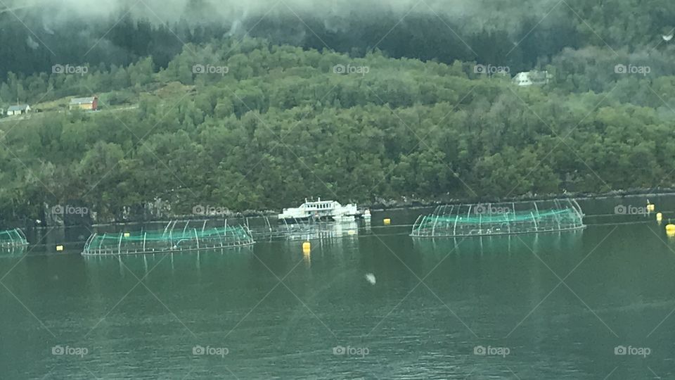 Fish farm in Norway