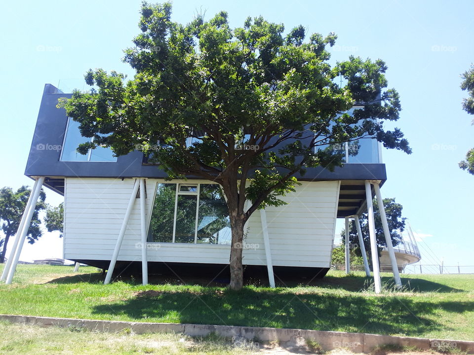 A tree in front of a beautiful structure at the park.