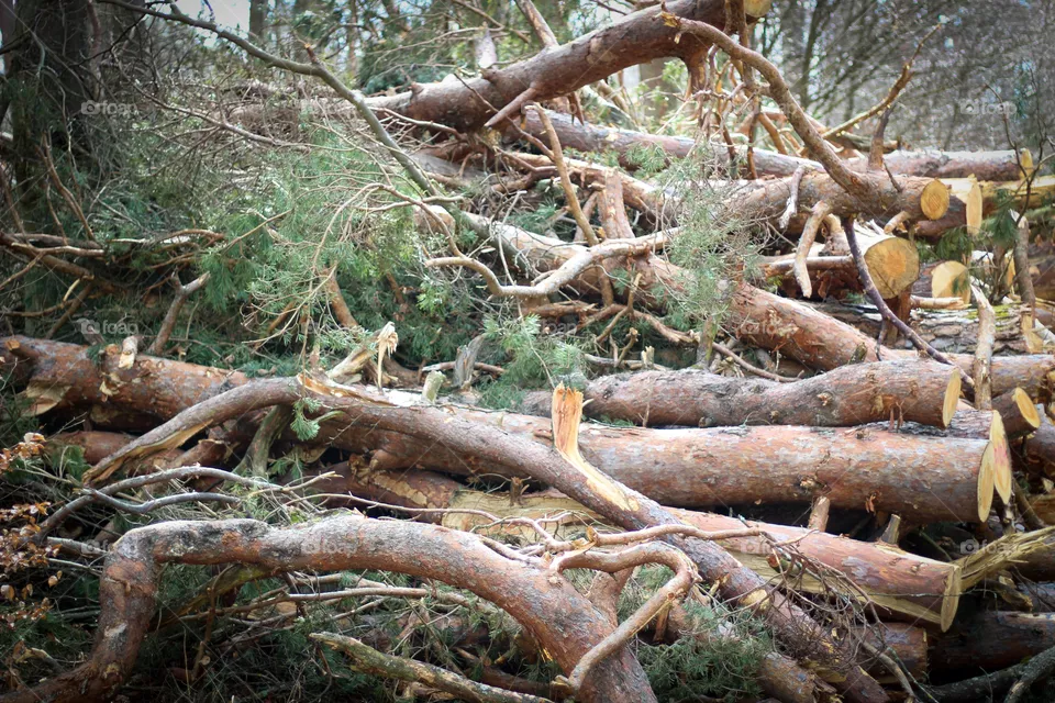 Klimawandel