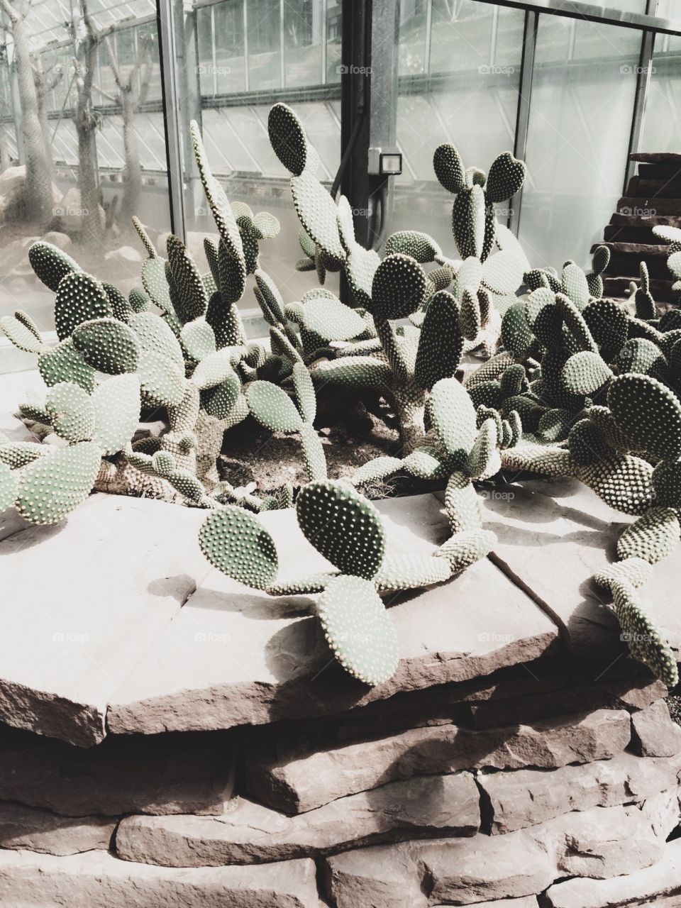 Worrying won’t stop bad stuff from happening, it just stops you from enjoying the good.