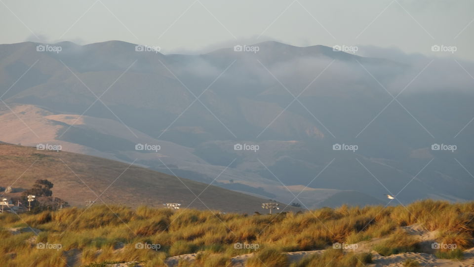 Fog rolling into a California valley