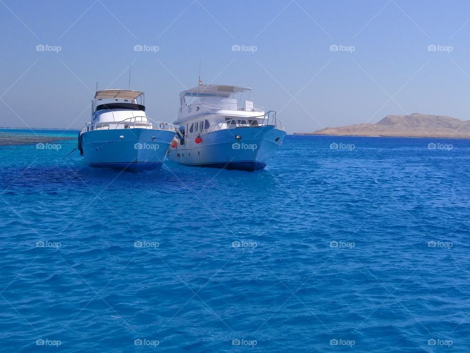 Diving on the Red sea.