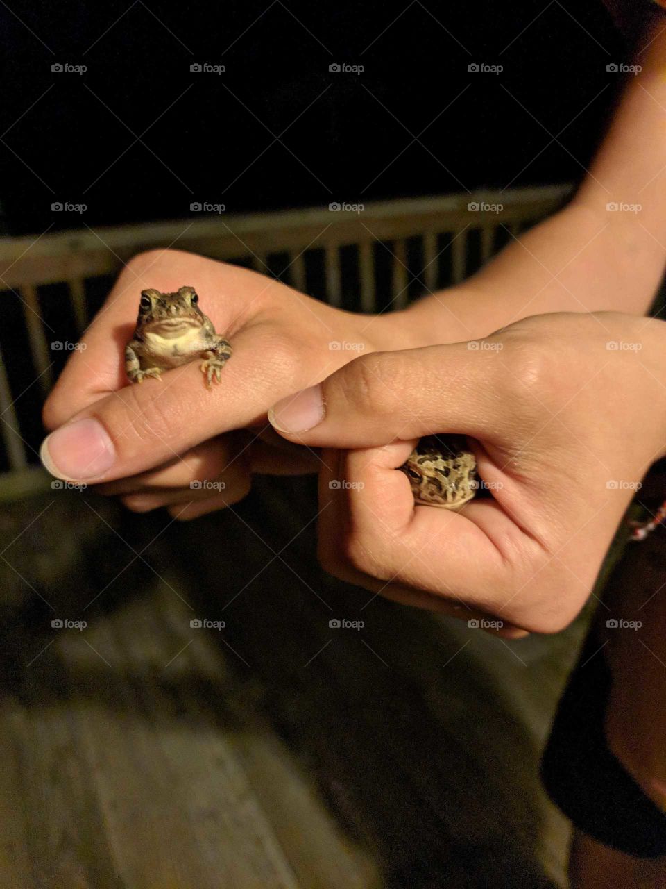 caught two cute baby toads, one in each hand