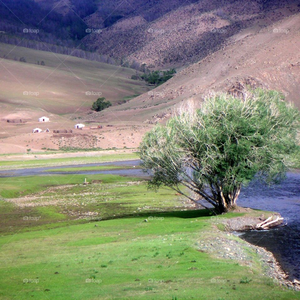 mandscape of Mongolia