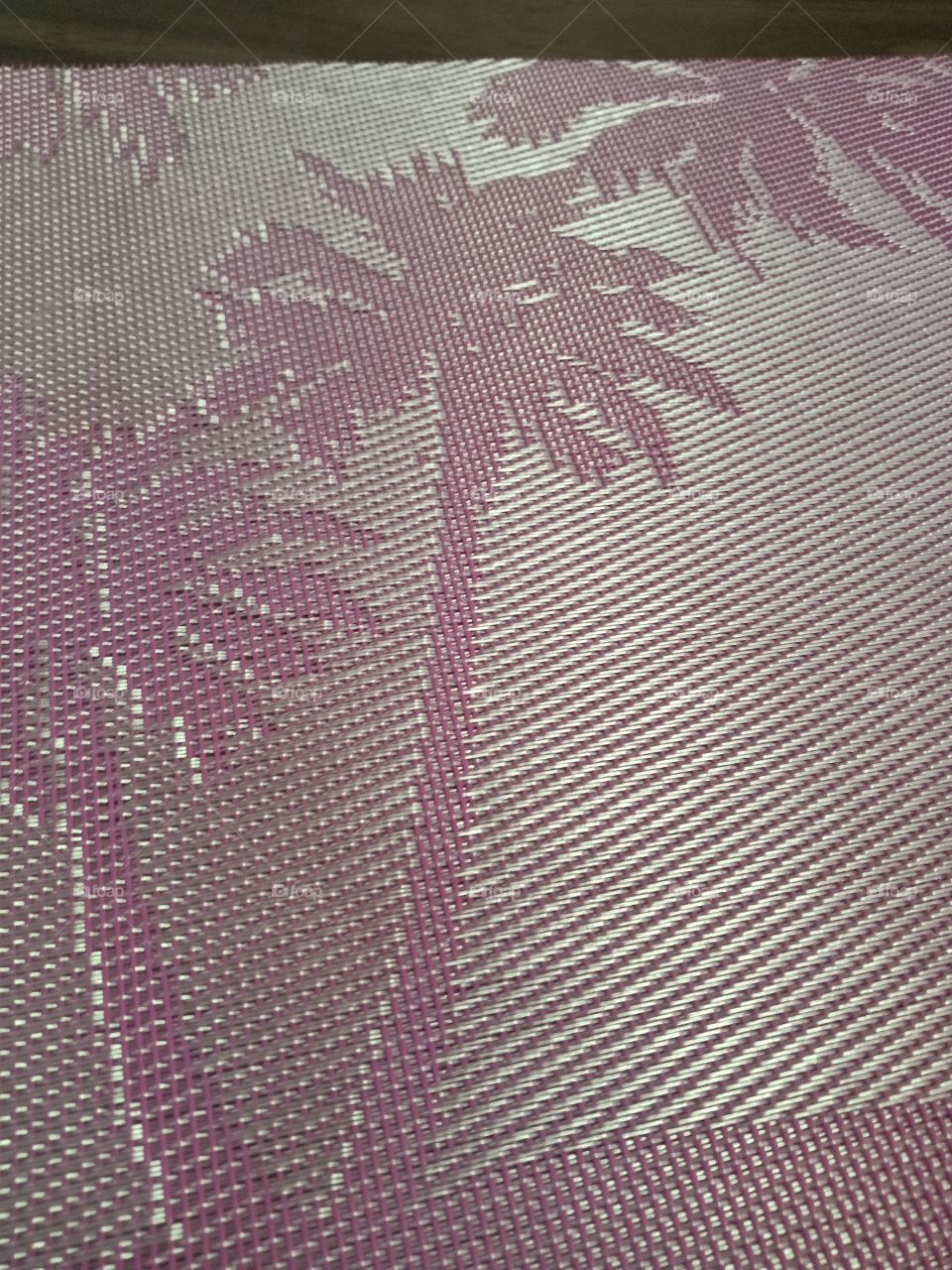 palm trees in the shade