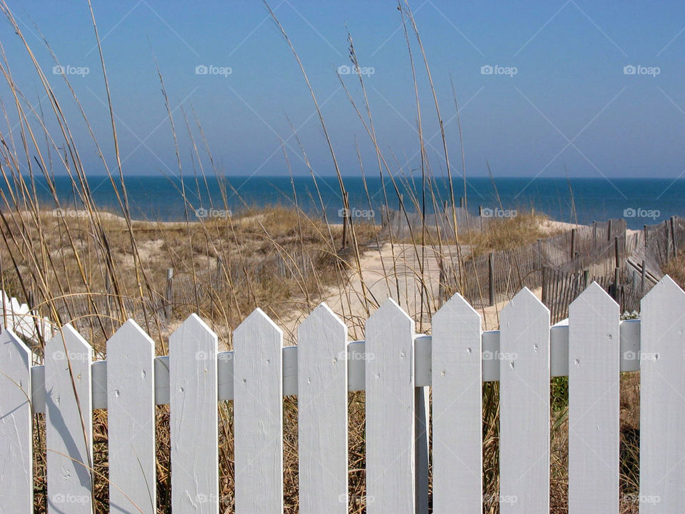 Picket Fence